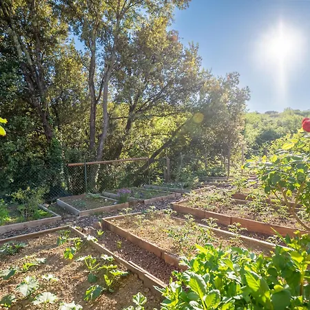 Private Tuscan With Infinity Pool & Views Vila *